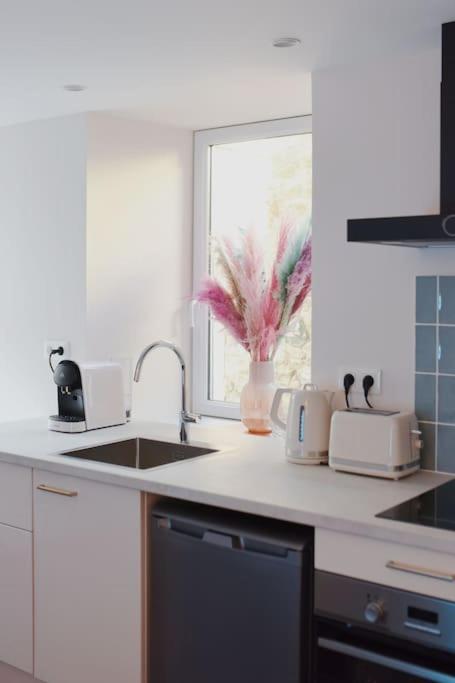 Appartement Aquaroom Rdc - Plage 50M - Rue Gratuite Saint-Malo Exterior foto